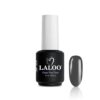 Color Top Coat 15ml 10 Back To Black